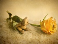 /album/nulles-verden/img-1142-jpg1/